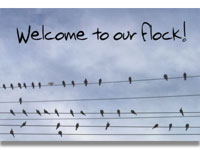 flock.wmv