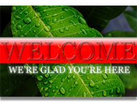 welcome-10.wmv