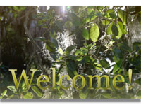 welcome-2.wmv