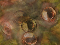 AD1010.wmv