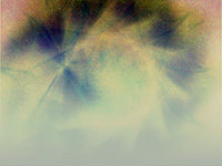 AD1012.wmv