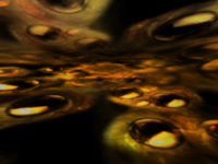 BD1013.jpg