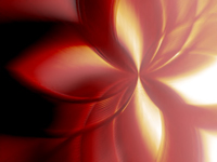 BD1016.jpg