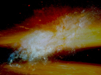 FF1009.jpg