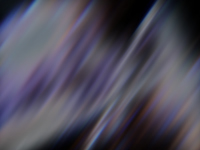 GF1009.jpg