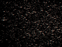 LE1001.wmv
