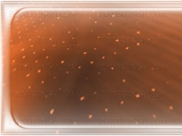 3er-btext-016.jpg