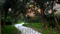 follow-me.jpg