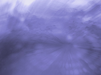 SD1001.jpg