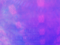 SD1013.jpg