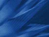 blue_organics001.jpg