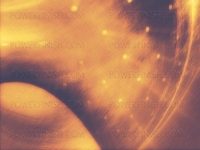 golden_lights001.jpg