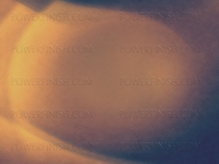 golden_sketch001.jpg