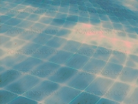 teal_grid001.jpg